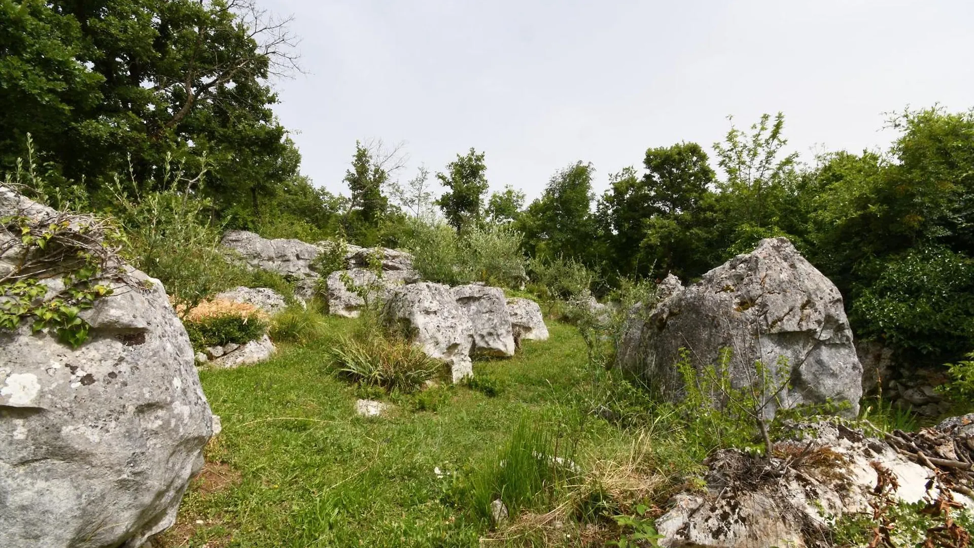 House Gioia Cristina Villa Labin  Labin (Istria)